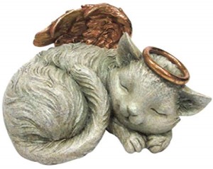 a sleeping angel kitty